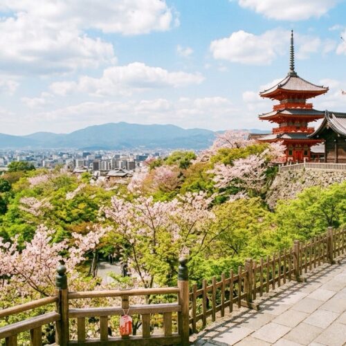 【創刊号記念エッセイ】